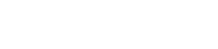 Decart Logotype WhiteAsset 2